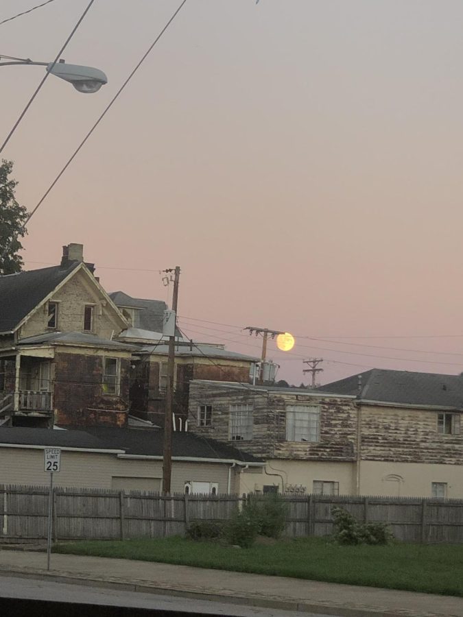 The Pink Moon is Here!