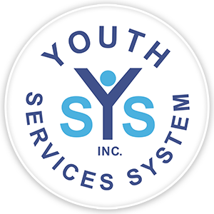 The Youth Service System (YSS)
