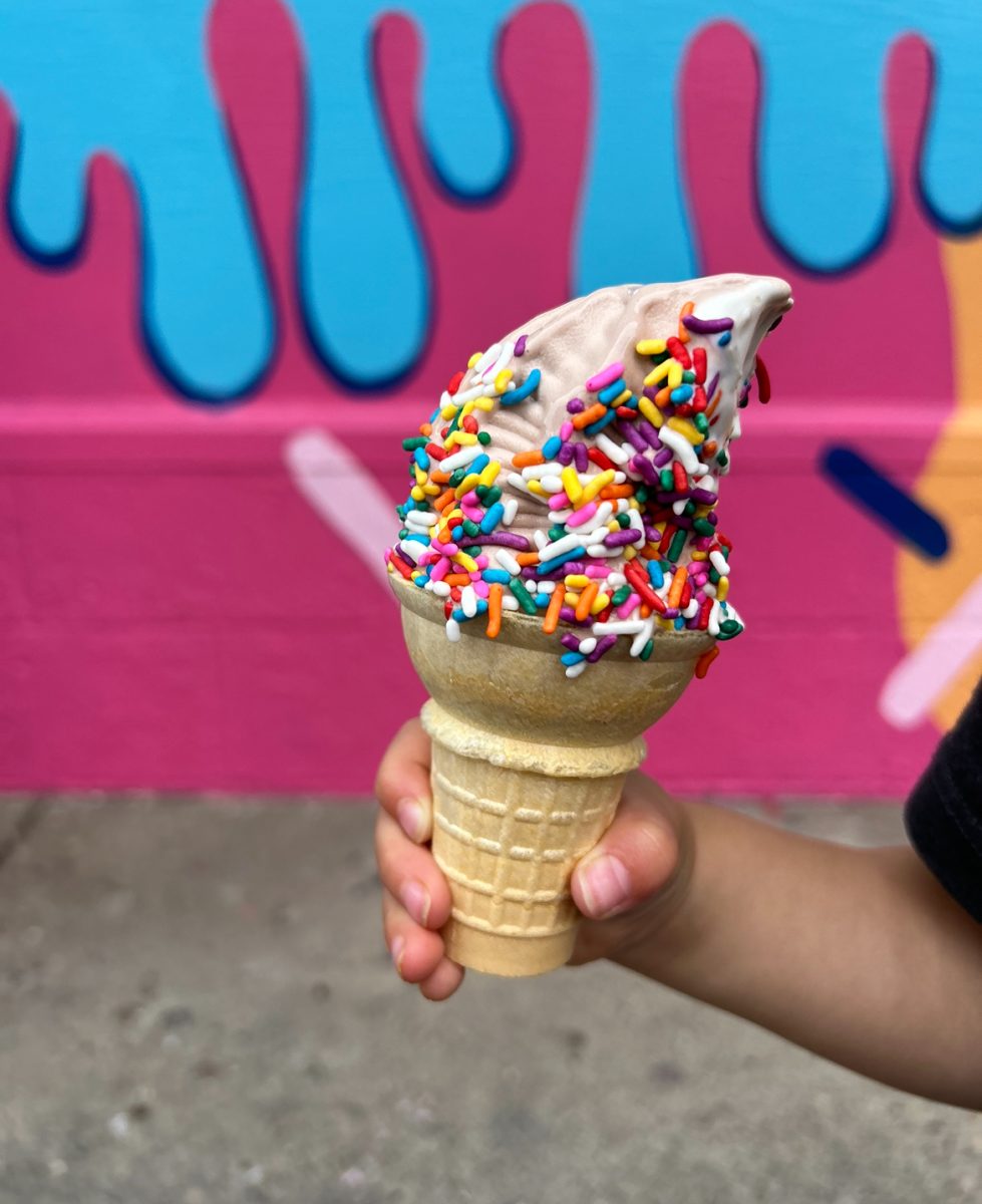 Soft serve twist cake cone with rainbow sprinkles brighten the streets of Fulton in the first few days of being open.