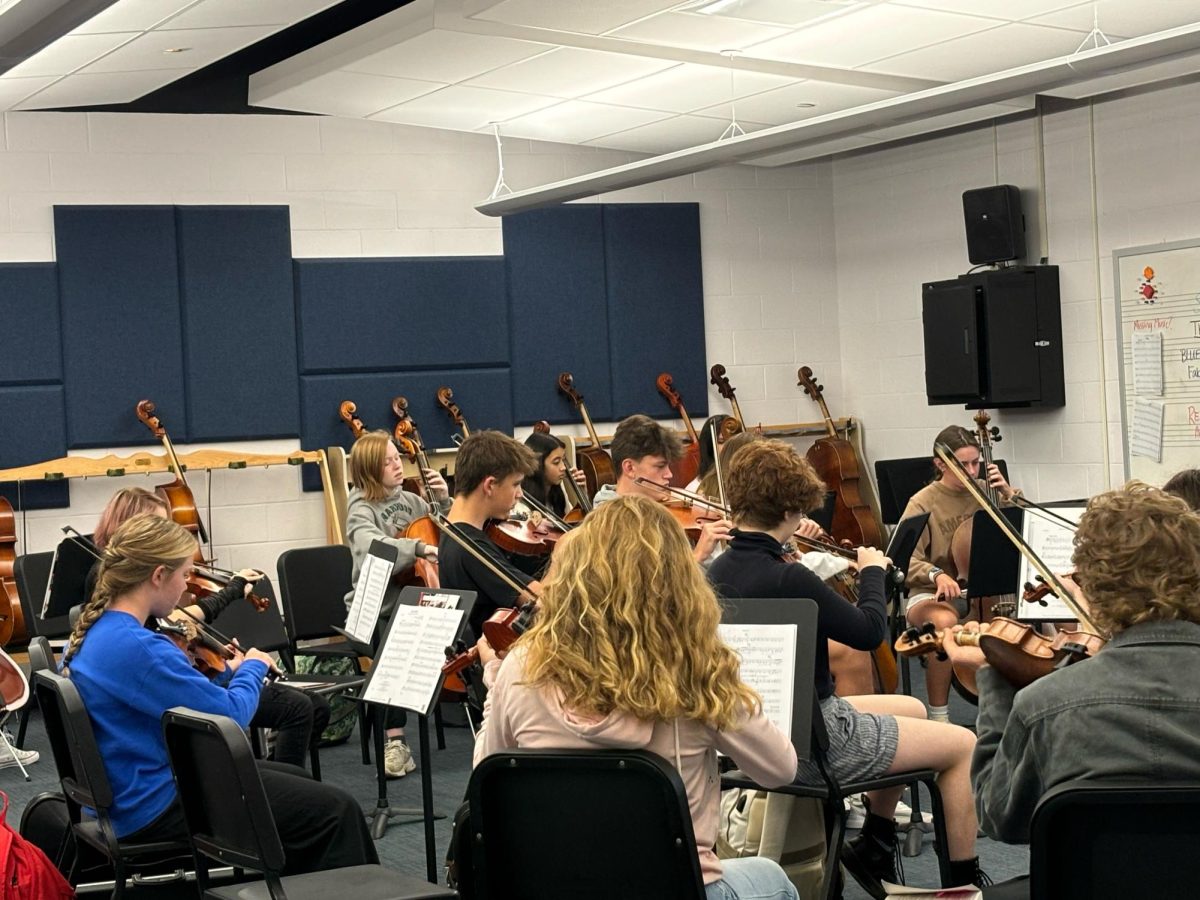 Wheeling Park strings students learn new music piece. 