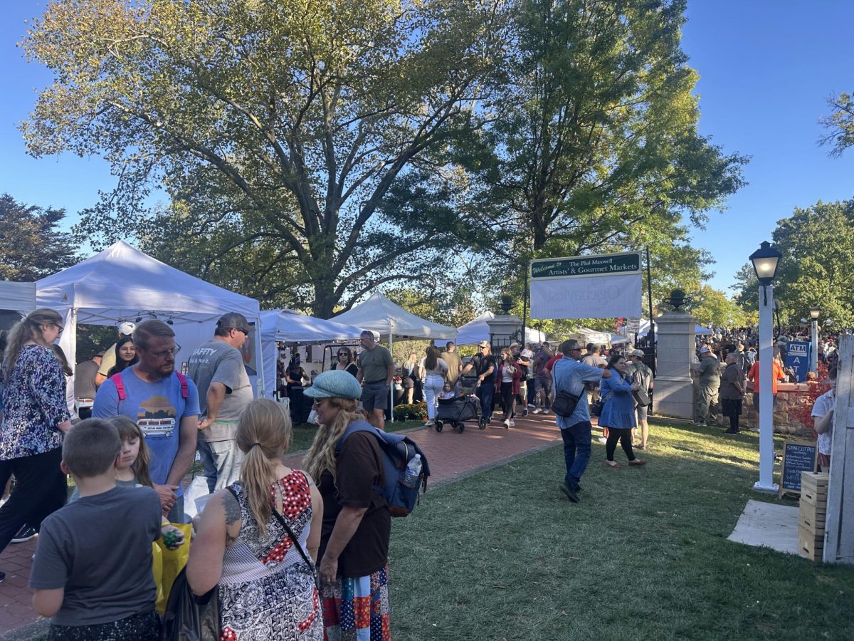 People shopping and walking around Oglebayfest.