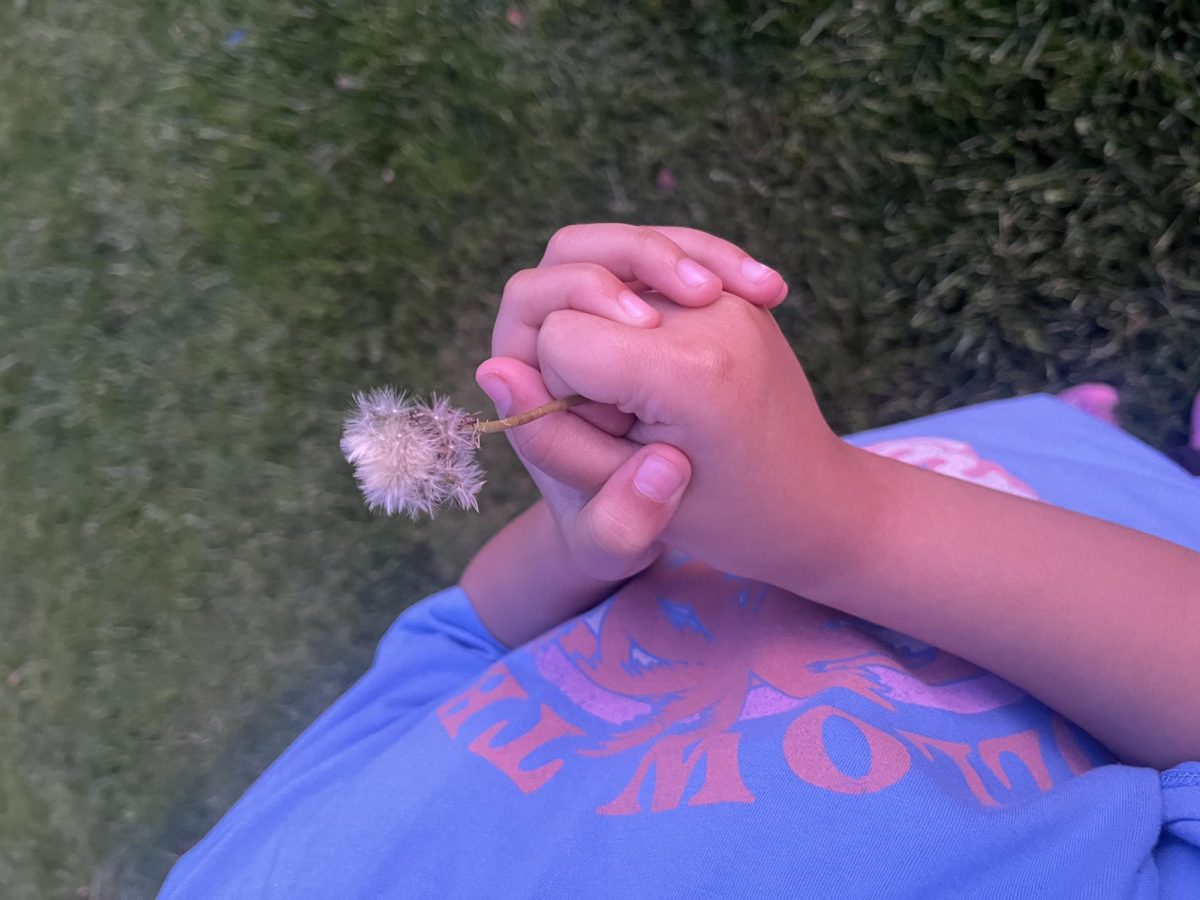 Cali holding the dandelion on one of the sunniest days.