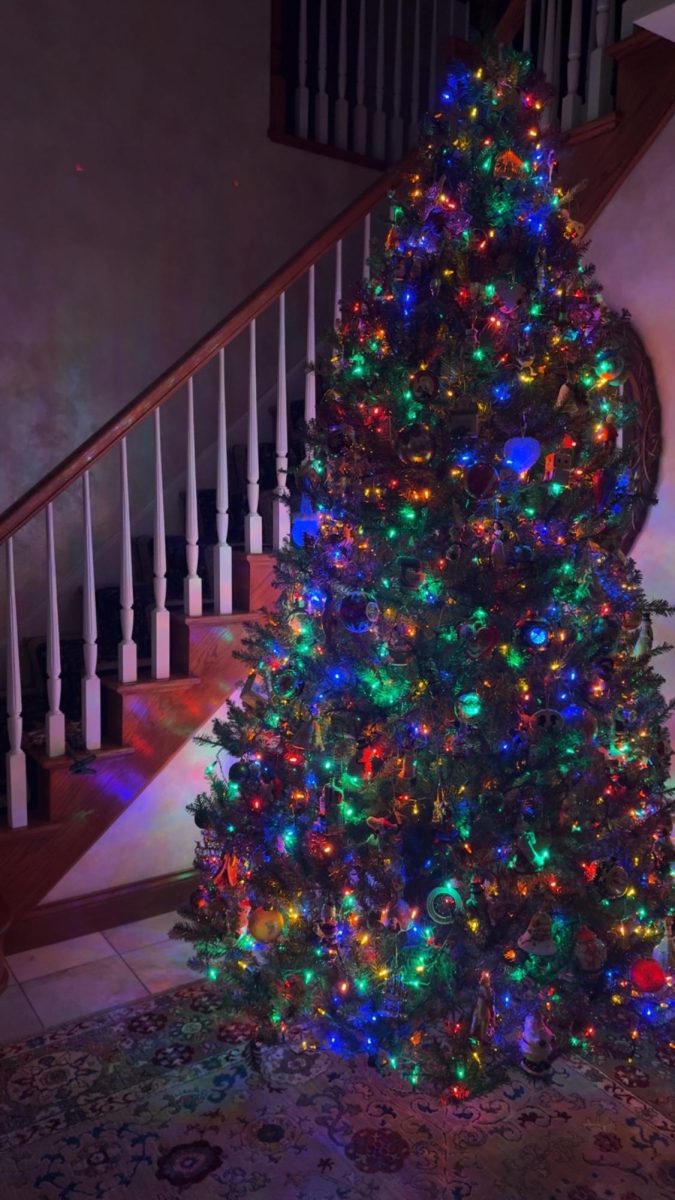 Decorated Christmas tree ready to be filled with presents.