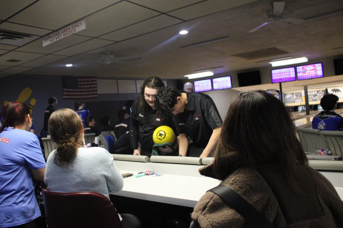 Wheeling Park Bowling Game