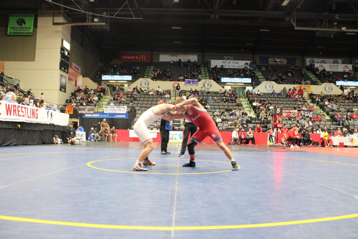 Park Wrestling Makes Historic Wins at OVACs