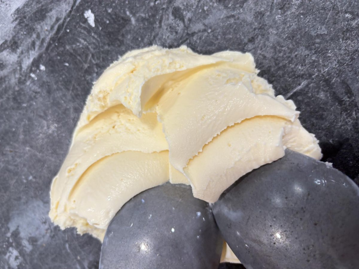 Close up of the ice cream before it's mixed. 