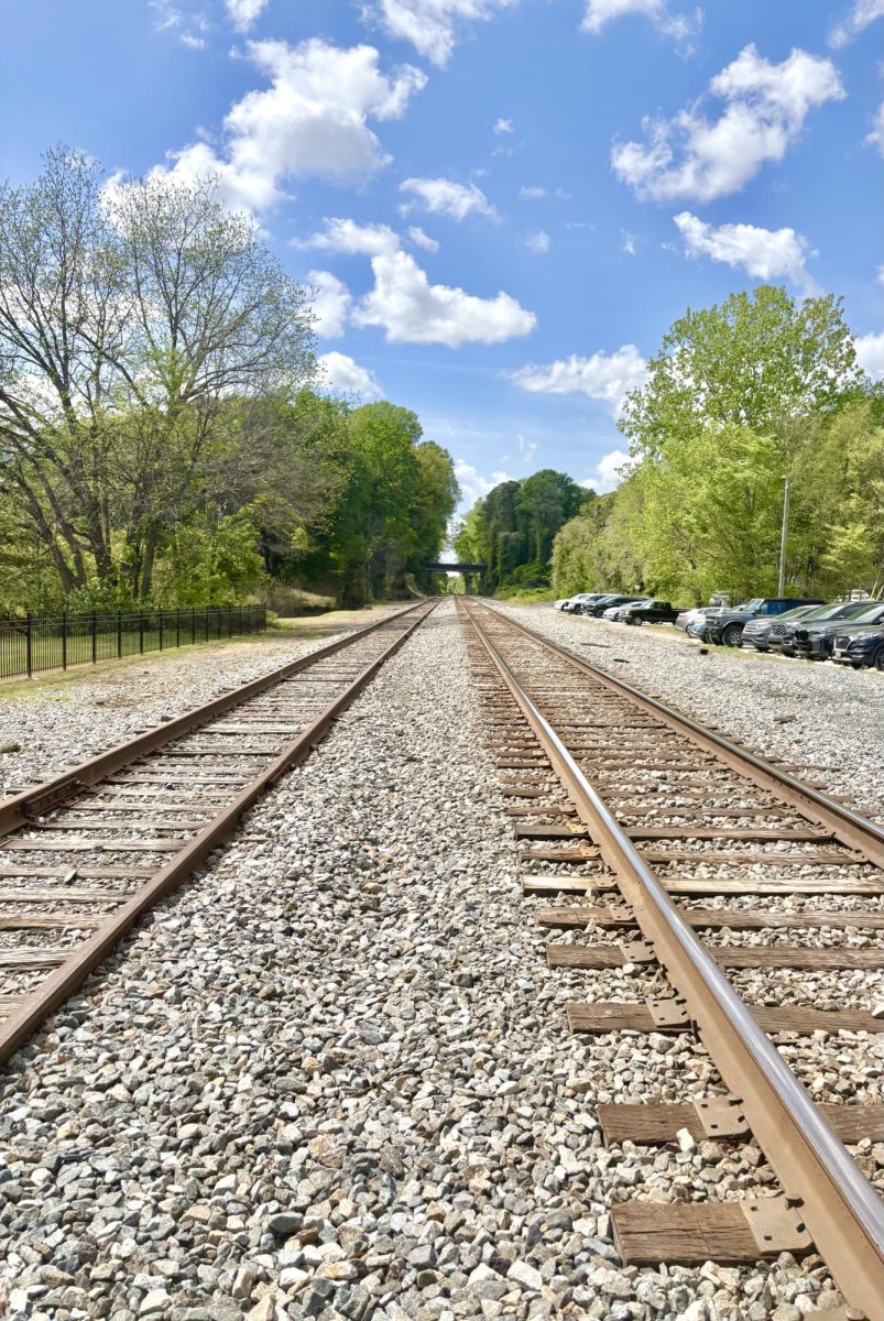 That's a surprise! A functioning railroad track is running in the middle of the park. If you sit and wait, you might catch a train moving across. 