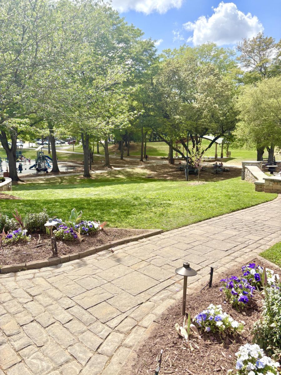 The park was the next stop, the blooming flowers and green leaves greatly differs from back home.