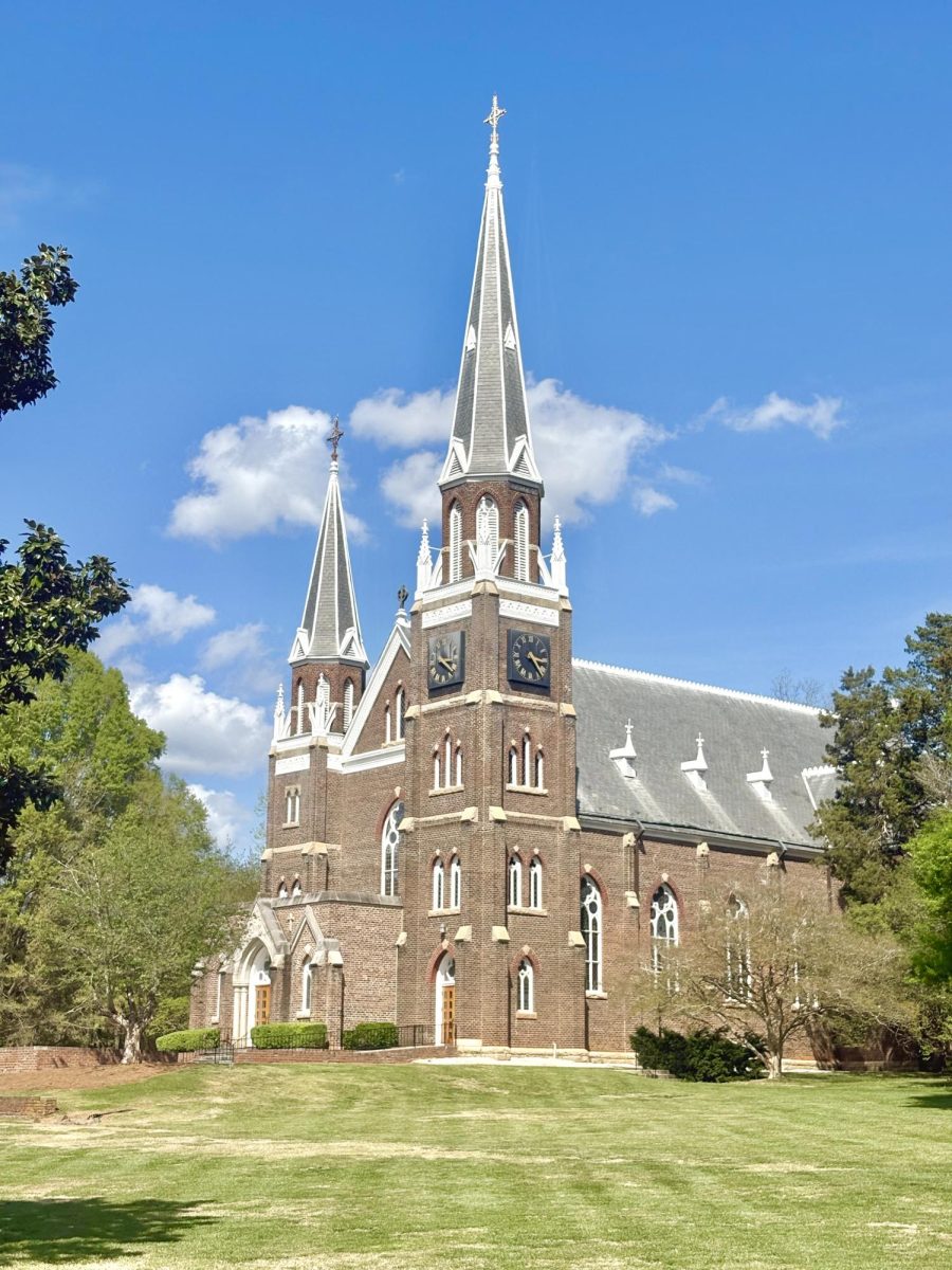 Oh wow! There is a beautiful cathedral situated right at the end of the park.