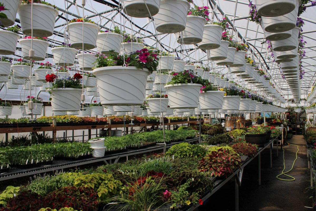 Parkview Farms prepares for another season of the greenhouse starting May 4th.