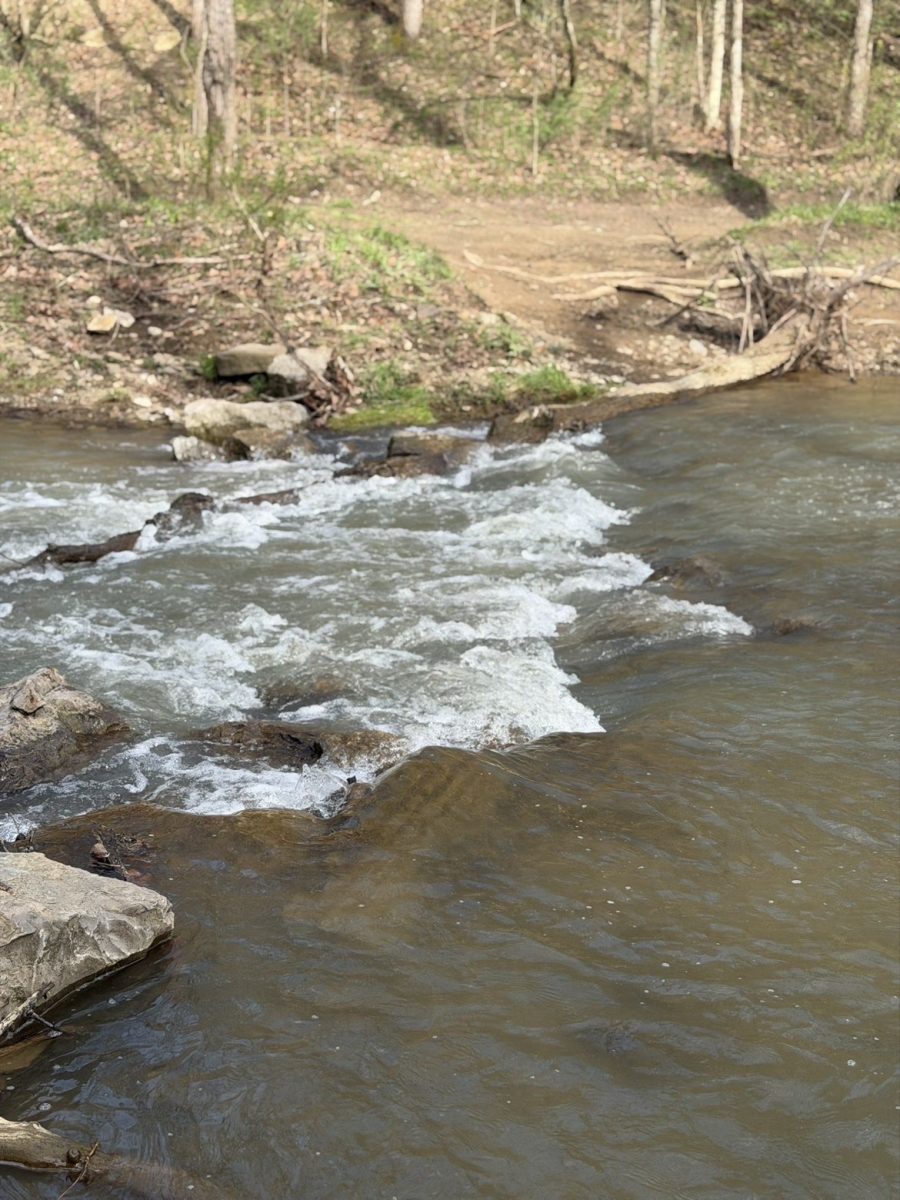 The water was moving today! The sounds of water are something one can never take for granted, creating a peaceful setting for everyone around.