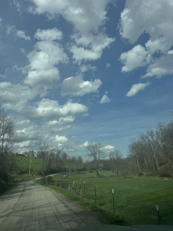 A beautiful view as you drive down the road, heading to see some beautiful scenic sights!