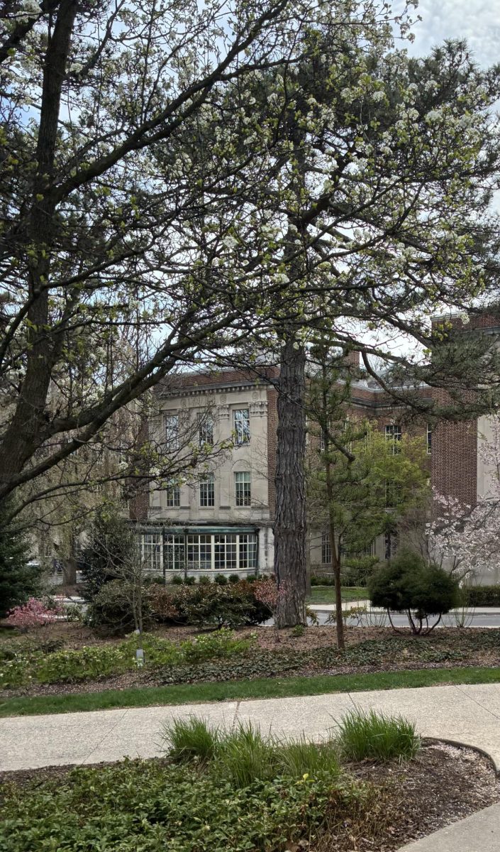 Walking around campus, the architecture and greenery was truly breathtaking. Many families stopped to take photos much like this one, to show others after the tour.