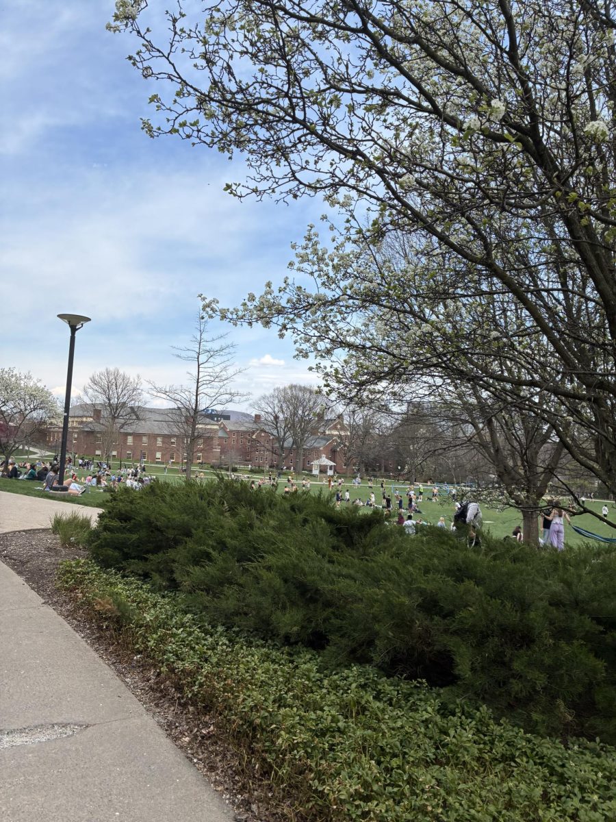 The tour was on a very hot day, so it was interesting to see all of the students on the quad. Some were tanning, playing a sport, reading, or even just catching up on schoolwork in the sun. Having a glimpse into the student life was very interesting to see.