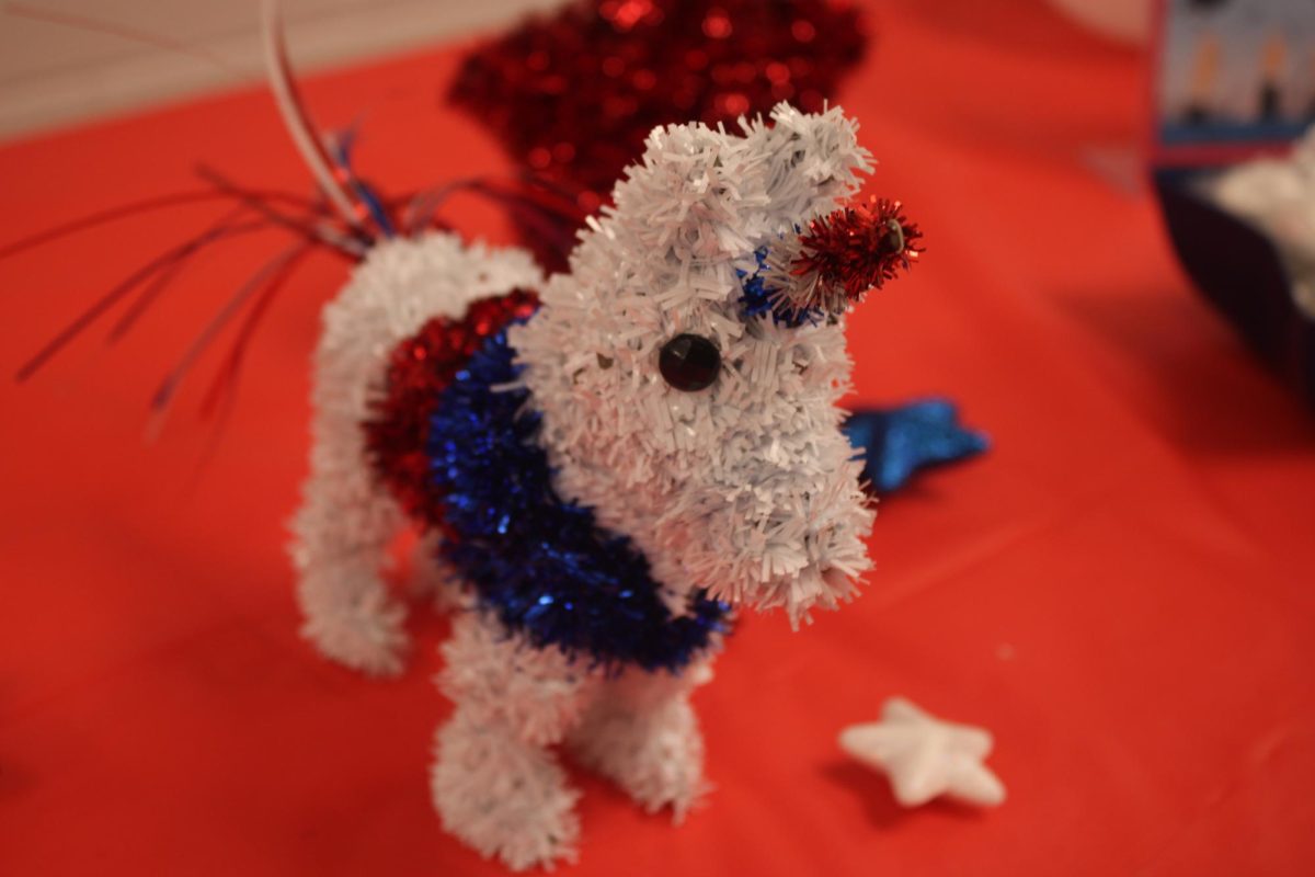Miss Mathieu had a lot of decorations for Decision Day, including a Patriot-colored unicorn. 